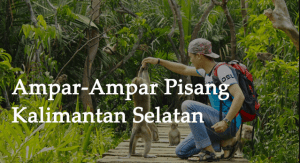 Lirik Lagu Ampar Ampar Pisang