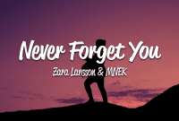 Lirik Lagu Never Forget You